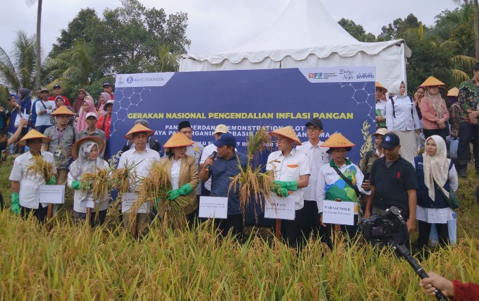 Bupati Bengkulu Selatan, Sarankan Usulkan Alih Fungsi Kawasan Hutan Jadi Lahan Pertanian dan Jalan