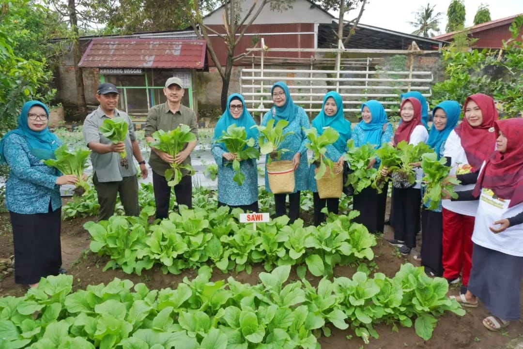 Derta Ajak Masyarakat Manfaatkan Pekarangan dengan Menanam Sayuran dan Buah