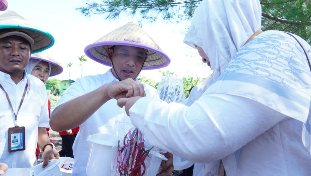 Mengatasi Inflasi, Wawali Ajak Masyarakat Manfaatkan Lahan Pekarangan untuk Tanam Cabai