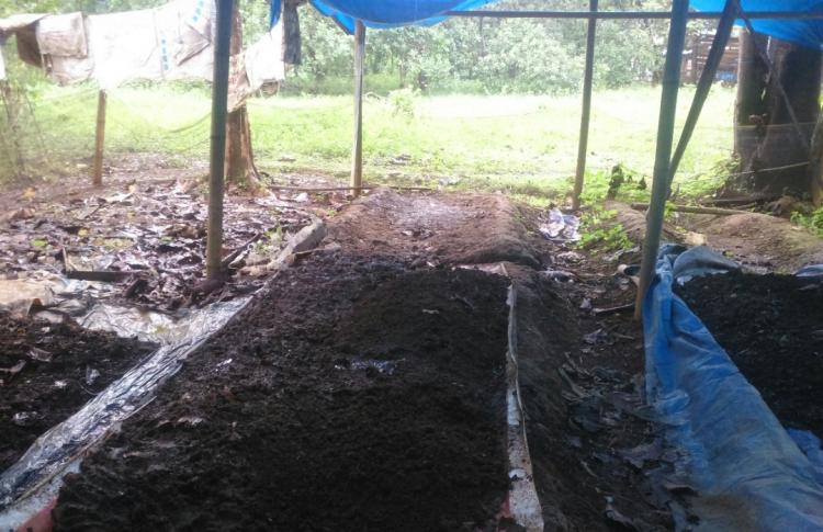 Dinas TPHP Provinsi Bengkulu,Gandeng Kelompok Tani Produksi Pupuk Organik