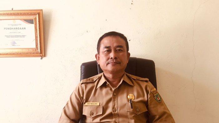 Pemkab Bengkulu Selatan Rencanakan Beri Bantuan Hewan Ternak 