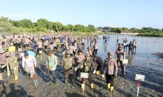 Green Policing Polda Aceh, Tanam 10 Ribu Mangrove untuk Perkuat Ketahanan Ekologi dan Ekonomi Desa Pesisir