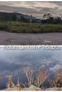 ​AJPLH Perbaiki Posita dan Petitum, Sidang Perdana Lawan PT SSJA Digelar April Mendatang di PN Mukomuko