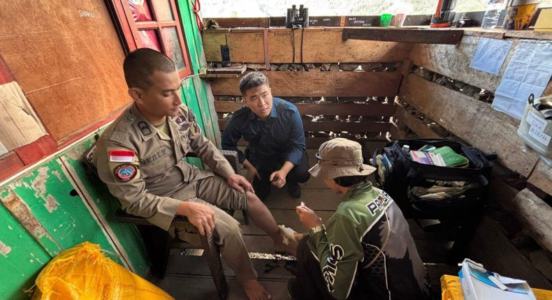 foto slider headline