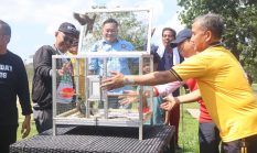 Peringati May Day 2026, Kapolda Bengkulu Jalan Santai Bersama Buruh Pererat Sinergi dan Kebersamaan