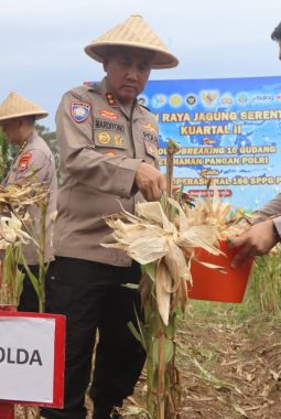 Kapolda Bengkulu Ikuti Panen Raya Jagung Serentak Kuartal II 2026 Bersama Presiden RI Secara Daring