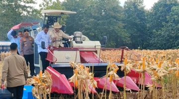 Panen Raya di Tuban, Presiden Prabowo Apresiasi Peran Polri Wujudkan Ketahanan Pangan Nasional