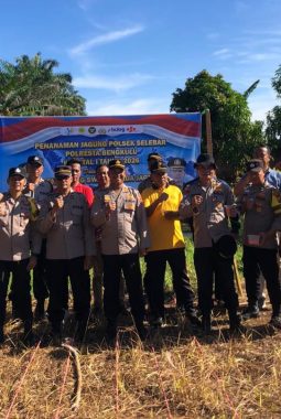 Polsek Selebar Laksanakan Penanaman Jagung Serentak Kuartal II Tahun 2026 dan Perawatan Uwi Ungu