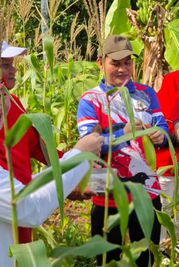  Sekdaprov Gagaskan Solusi di Tengah Efisiensi Anggaran, Kebun Bantu Rakyat Jadi Percontohan